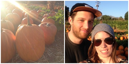 Collage of a couple and pumpkins at a pumpkin patch
