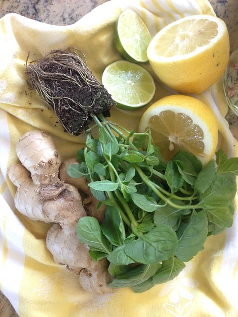 Overhead view of lemons, limes, fresh herbs and ginger on a cloth