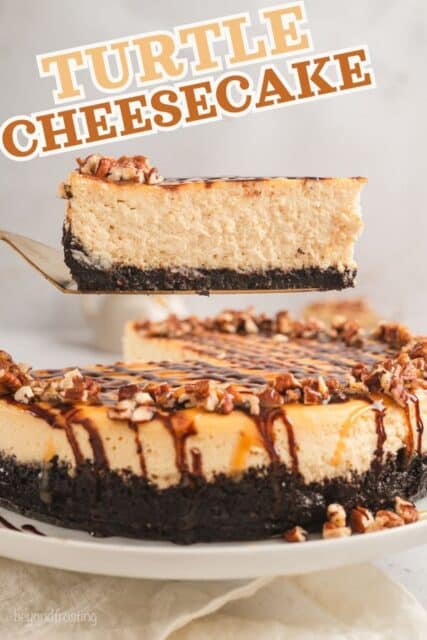 Pinterest title image for Turtle Cheesecake.