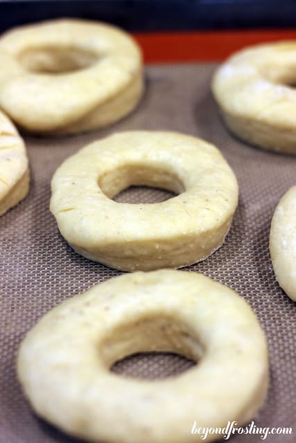 Close-up of donut dough rings on a baking mat