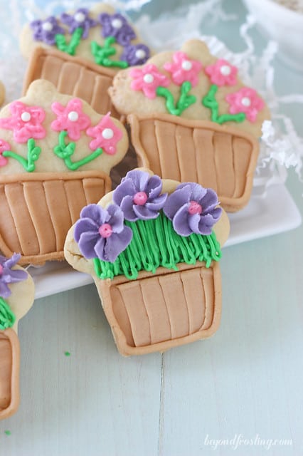 Overhead view of sugar cookies decorated like flower pots