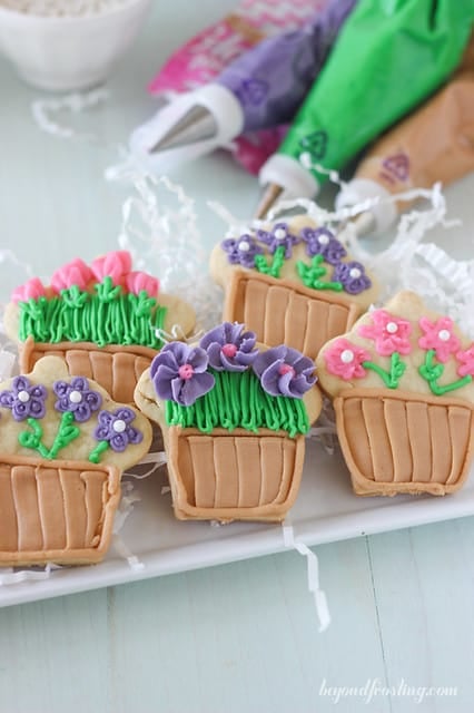 Overhead view of flower pot decorated cookies 