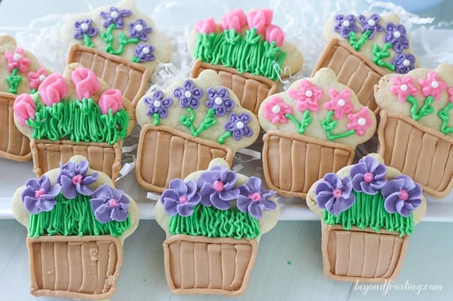 Overhead view of several flower pot decorated cookies