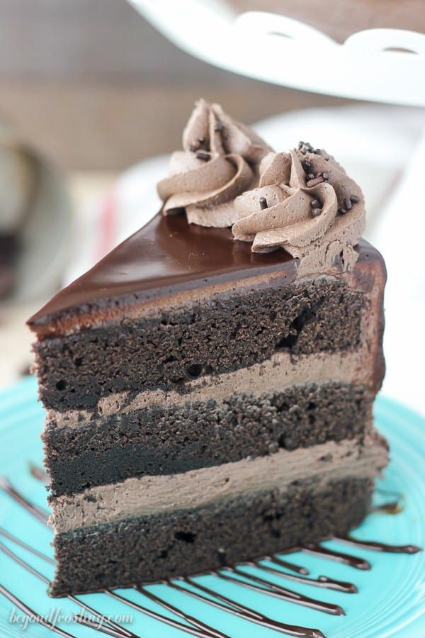 Side View of a Slice of Chocolate Cake 