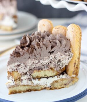 You need this No-Bake Tiramisu Cheesecake this summer. Layers of espresso-soaked lady fingers, mascarpone whipped cream frosting and chocolate covered espresso beans.