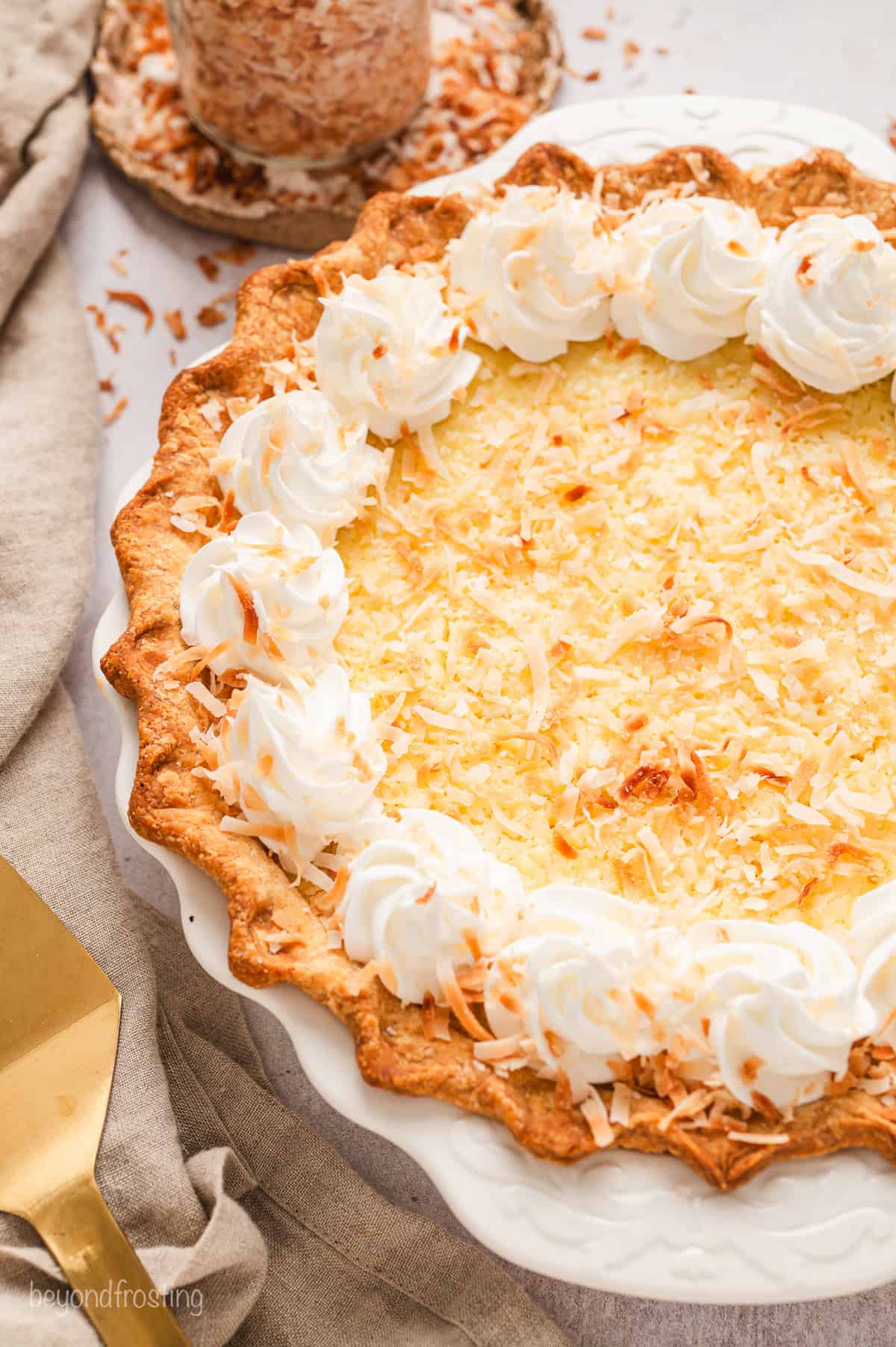 Close up view of coconut custard pie in a pie plate decorated with a border of piped whipped cream swirls.