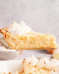 Side view of a slice of coconut custard pie being lifted from the rest of the pie below.