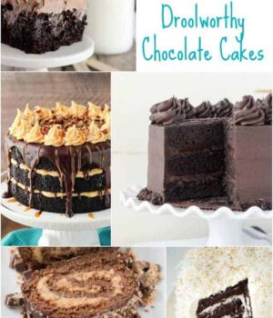 30 of the most DROOLWORTHY Chocolate Cakes!! Cake rolls, poke cakes, layer cakes and more