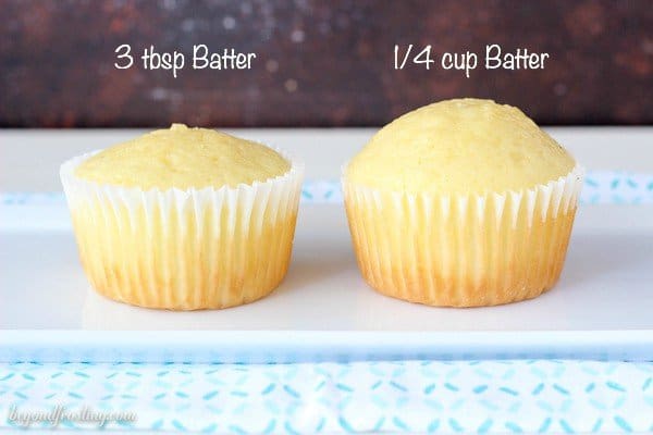 Cupcake Research- Tips for bakers!