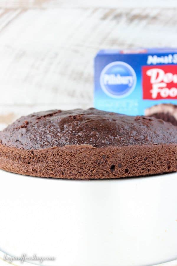 Pillsbury Devils Food Cake Mix. What is the best boxed chocolate cake mix? This post will answer your questions. It is the best guide explaining the differences between boxed cake mixes.