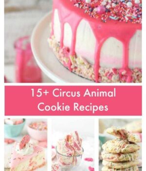 Over 15 Circus Animal Cookie Recipes to satisfy your childhood craving! Circus Animal Cookies, Circus Animal Cheesecakes, Circus Animal Cakes and more.