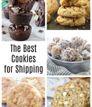 The Best Cookies for Shipping plus lots of tips for how to ship cookies. Whether it's Christmas or not, shipping cookies is easier than you think!