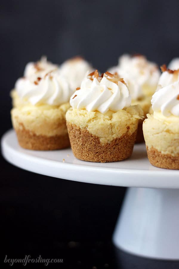 Close Up Photo of Coconut Cookie Cups with Whipped Cream