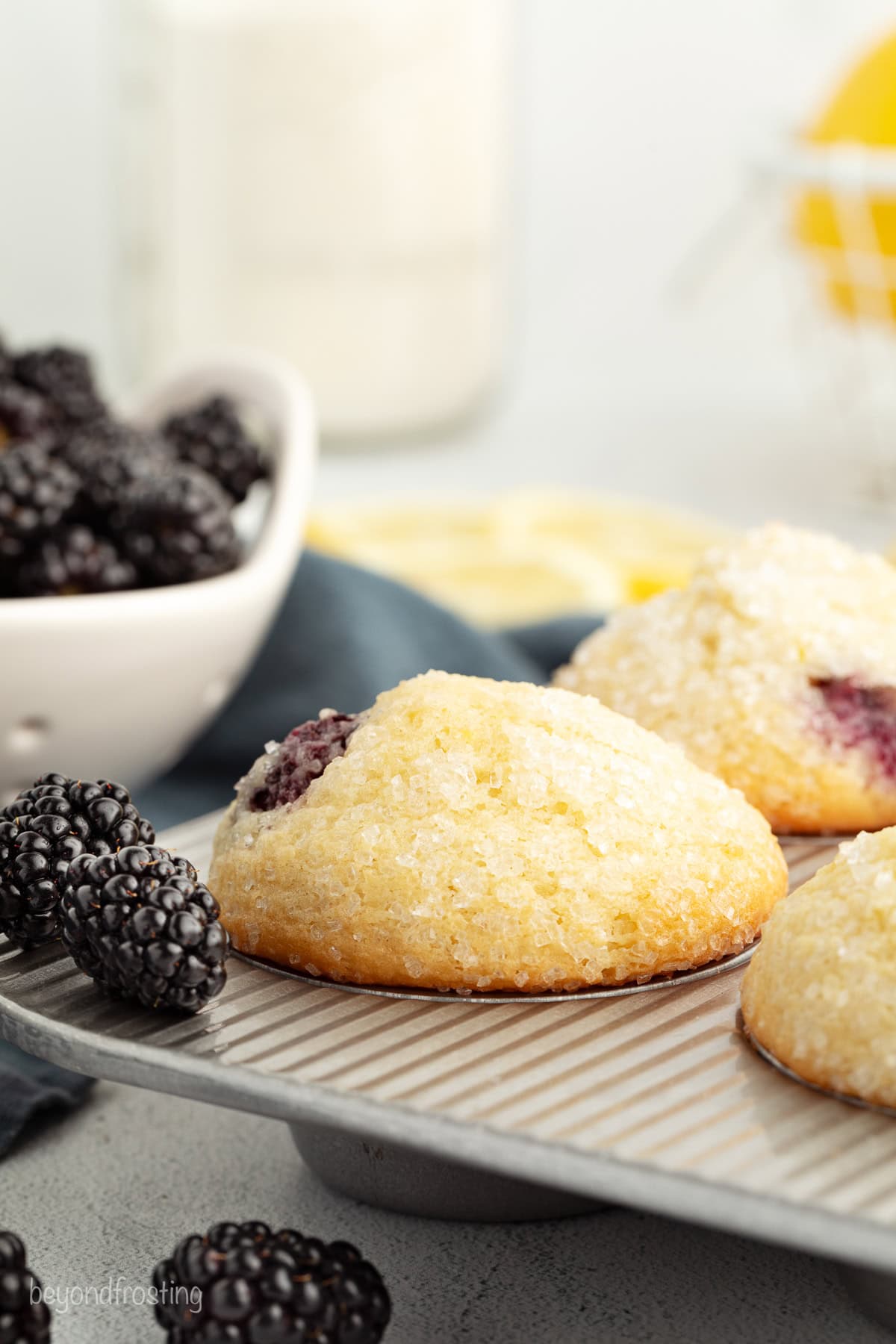 Close up of lemon blackberry cupcakes in a muffin tin.