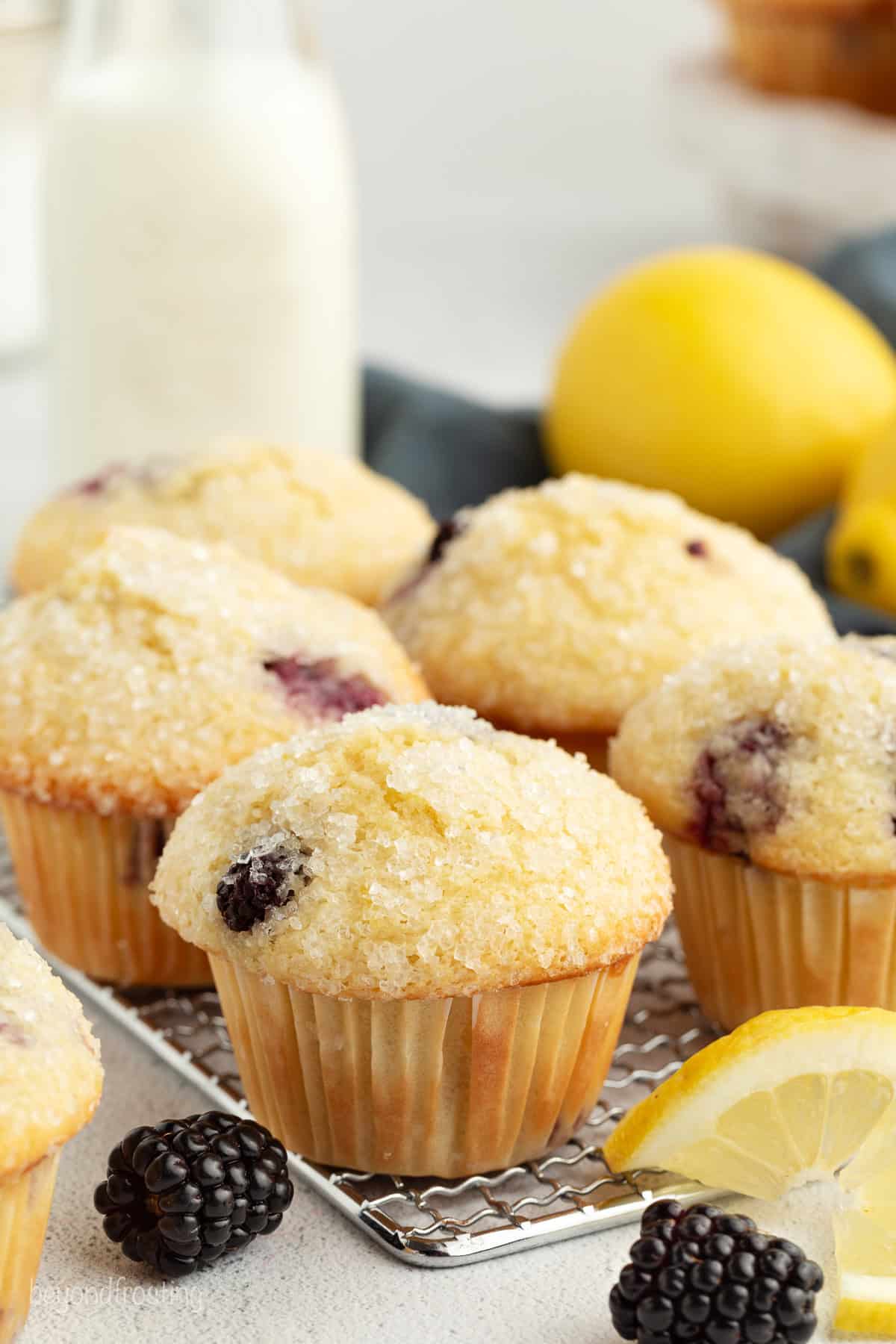 Lemon blackberry muffins on a wire rack.