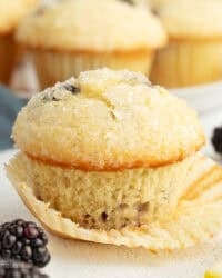 A lemon blackberry muffin partially unwrapped from a paper wrapper, with more muffins in the background.