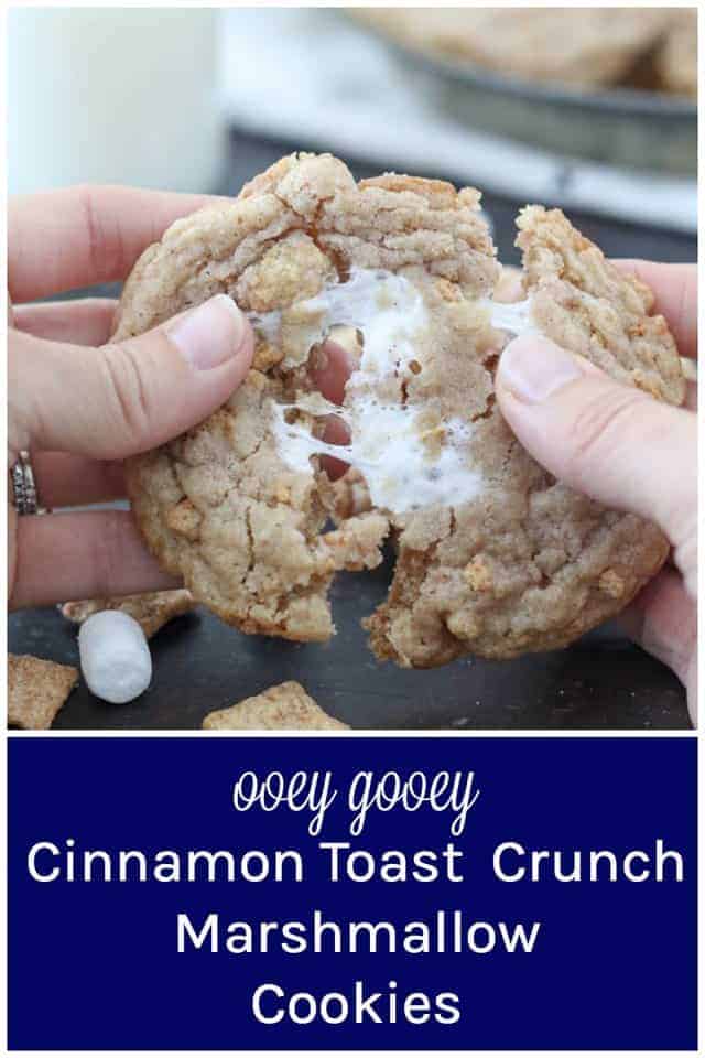 Cinnamon Toast Crunch Marshmallow Cookies Beyond Frosting