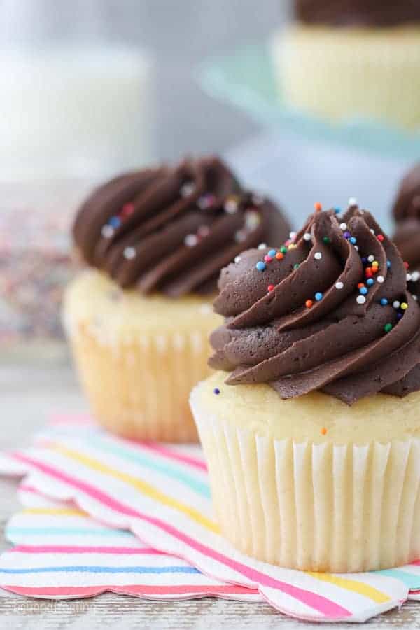 A close up of a gorgeous cupcake with chocolate frosting and sprinkles