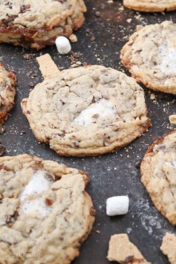 Soft and Chewy S'mores Cookies - Beyond Frosting