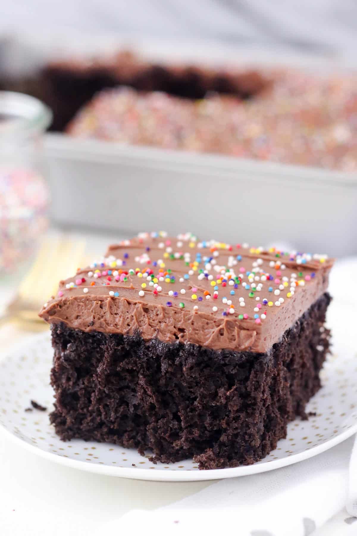 A slice of frosted chocolate cake topped with rainbow sprinkles on a white plate, with the remaining cake in a baking dish in the background.