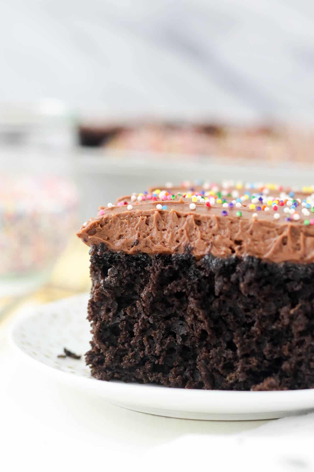 A slice of frosted chocolate cake topped with rainbow sprinkles on a white plate.