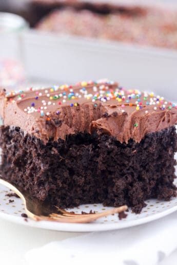 Moist Chocolate Cake | Beyond Frosting