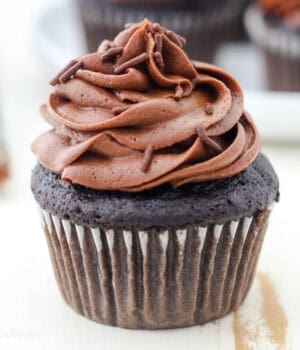 A chocolate cupcake topped with a swirl of chocolate cream cheese frosting and chocolate sprinkles.