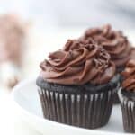 Three chocolate cupcakes with chocolate frosting on a white rimmed plate