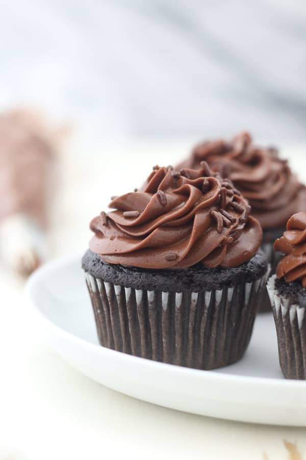 Three chocolate cupcakes with chocolate frosting on a white rimmed plate