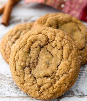 A close up shot of a molasses cookie leaving up against a stack of more cookies