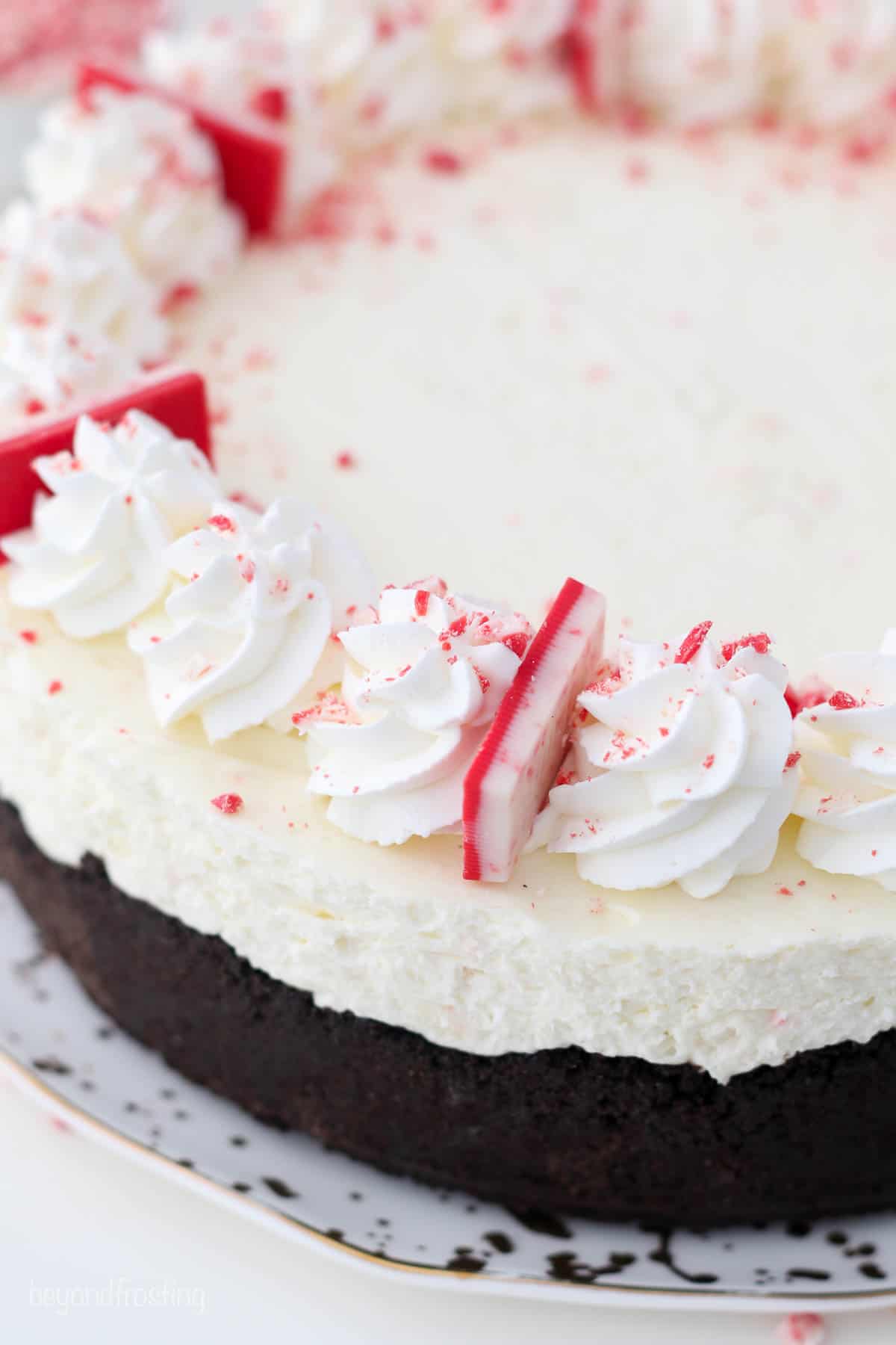 peppermint bark cheesecake