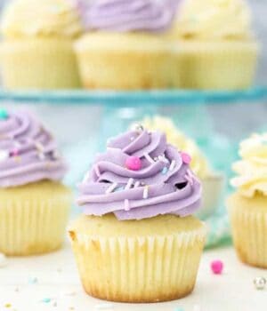 These vanilla cupcakes are frosted with a purple colored frosting and colorful sprinkles