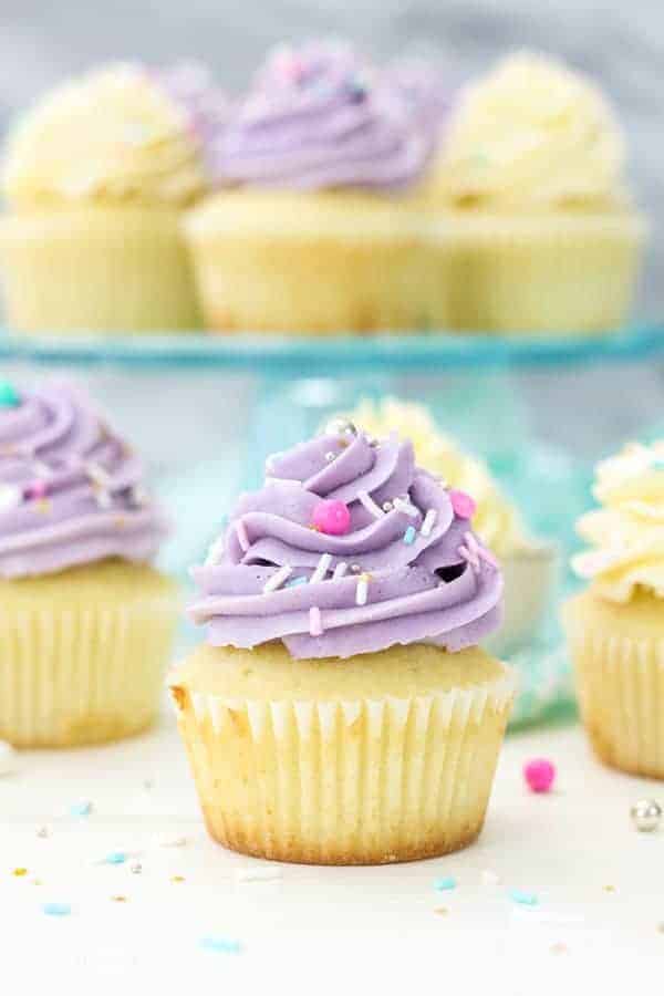 These vanilla cupcakes are frosted with a purple colored frosting and colorful sprinkles