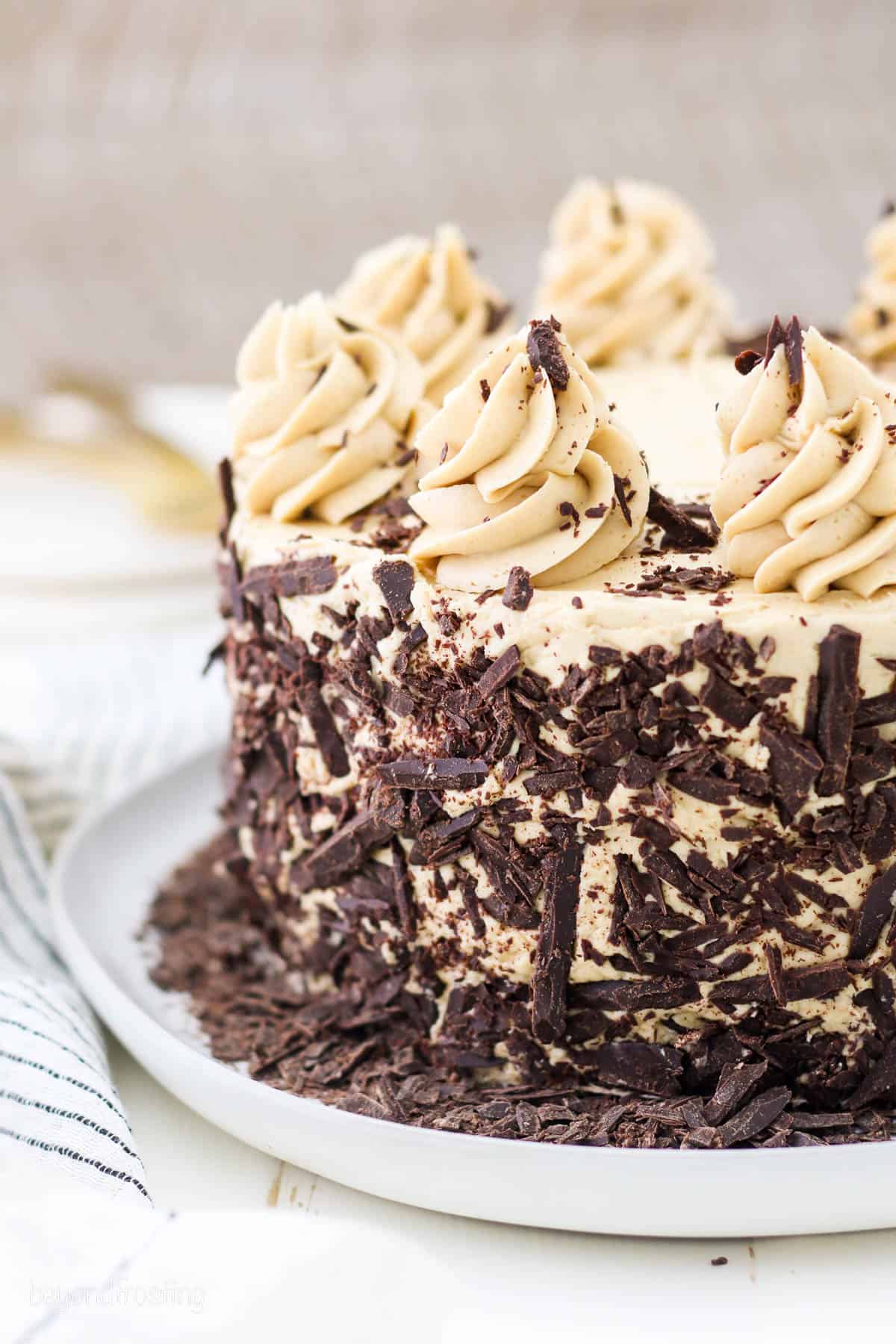 A frosted chocolate mocha cake decorated with shaved chocolate and mocha frosting swirls.