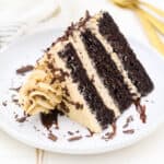 A slice of frosted 3-layer chocolate mocha cake laying on its side on a white plate.