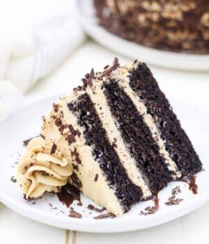 A 3 layer chocolate cake covered in a mocha buttercream is laying sideways on a white rimmed plate and the larger cake is blurred out in the background