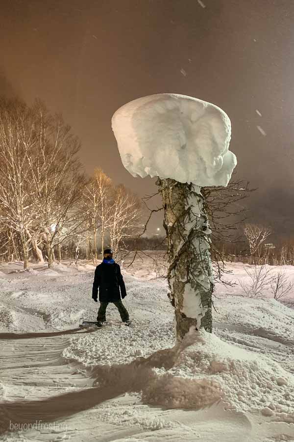 A snowboarder stands next to a snow covered tree in Niseko Japan