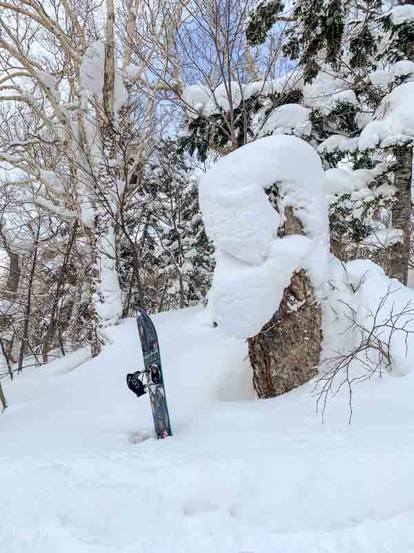 A snowboard stuck in a big snowbank and a tree covered with snow next to it. Niseko Japan