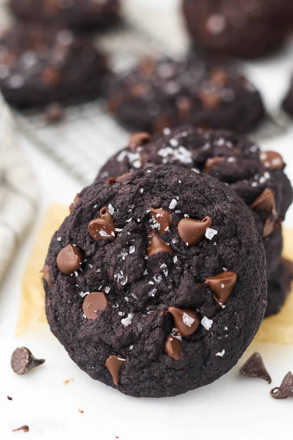 A double chocolate chip cookie leaning against a stack of chocolate cookies, with more cookies in the background.