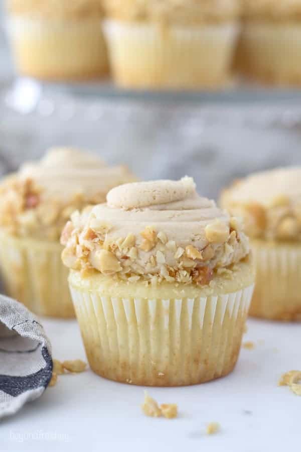 A gorgeous peanut butter cupcake topped with a creamy peanut butter frosting swirl that covered in crushed peanuts.