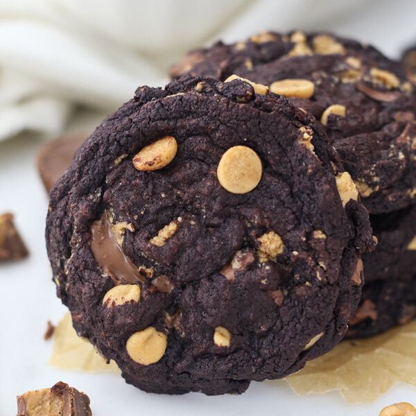 A perfectly shaped chocolate peanut butter cookie with a melted peanut butter cup and peanut butter chips on top.