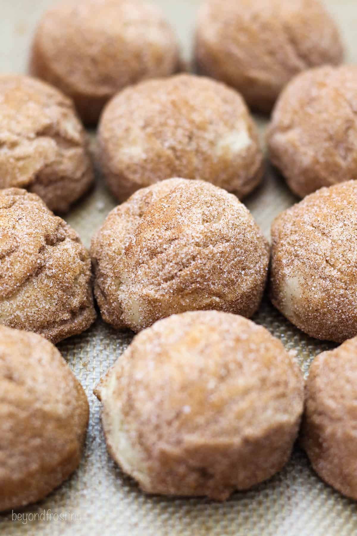 Rows of unbaked brown butter snickerdoodle cookie dough balls rolled in cinnamon sugar.