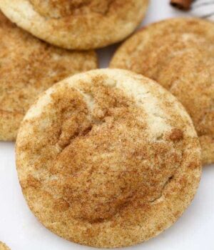 A close up shot of a Snickerdoodle cookie showing the ridges in the cookie