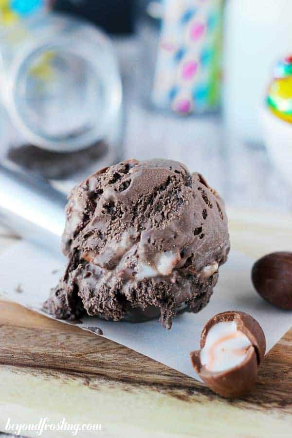 An ice cream scoop with a scoop of chocolate ice cream on it