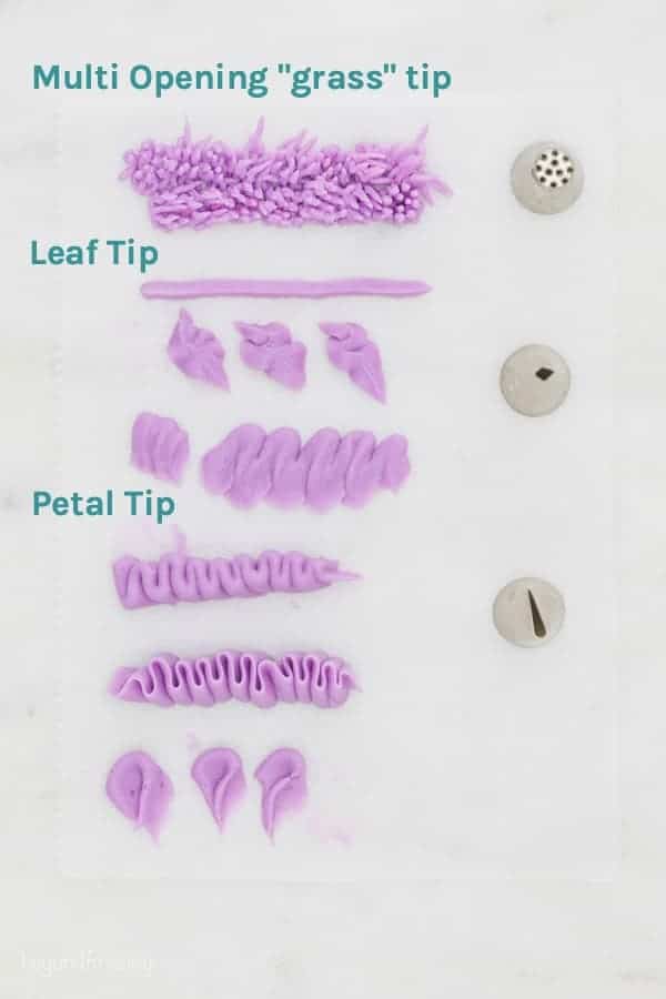 A visual of how to make buttercream designs using grass, leaf and petal tips