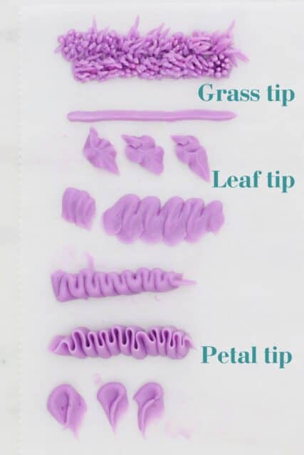 Examples of various buttercream designs made using grass, leaf and petal piping tips.