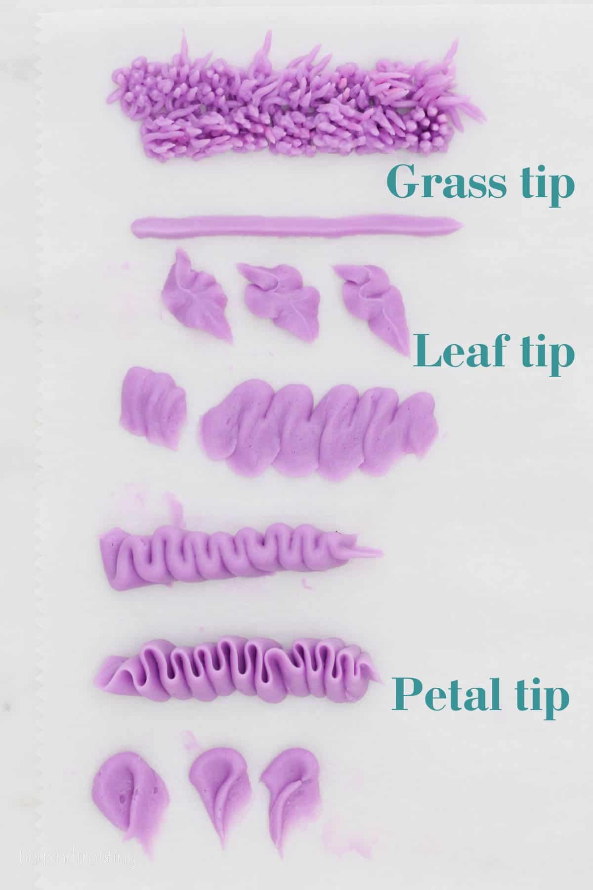 Learn about different piping tips, including star, round, petal, and basketweave, plus how to use them to decorate cakes, cupcakes, and more. Examples of various buttercream designs made using grass, leaf and petal piping tips.