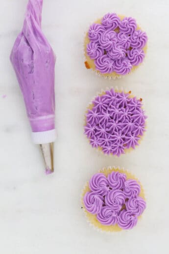 How To Use Piping Tips 