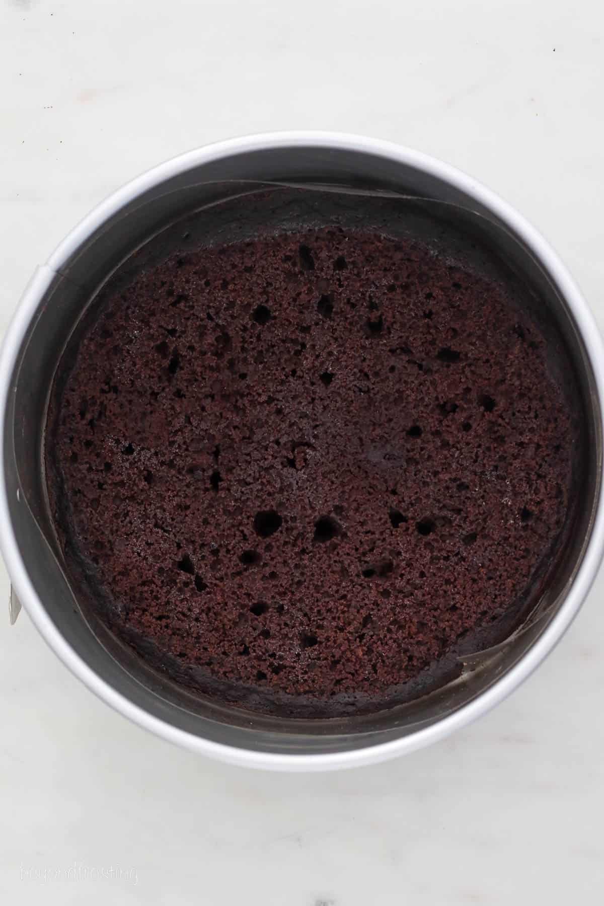 Chocolate cake in the bottom of a springform pan.