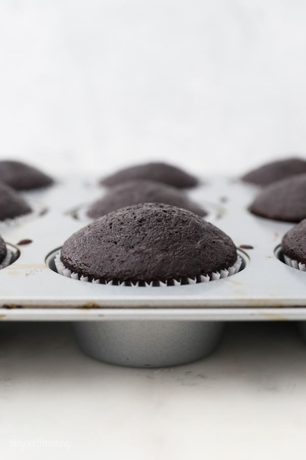 unfrosted chocolate cupcakes in a pan